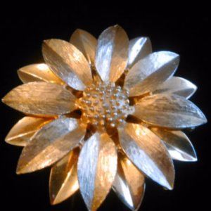 Vintage Sarah Coventry pin